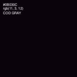 #0B030C - Cod Gray Color Image